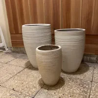 گلدان|گل و گیاه طبیعی|تهران, پاسداران|دیوار