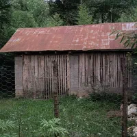 کلبه جنگلی منطقه سیاهمزگی شفت|فروش زمین و ملک کلنگی|شفت, |دیوار
