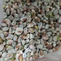 مغزپسته فروشی باکیفیت