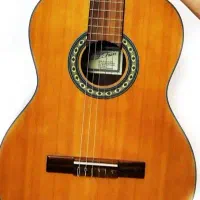 گیتار e150 بست فان