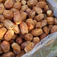خرمای زاهدی قصب لوکس|حراج|شیراز, انجیر|دیوار