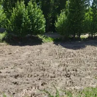 زمین باغی کشاورزی