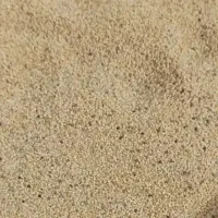 دانه دارویی