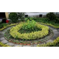 خدمات باغبانی|خدمات باغبانی و درختکاری|فردیس, فردیس|دیوار