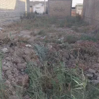 فروش زمین ۱۳۵متری اسلام اباد شرقی|فروش زمین و ملک کلنگی|اهواز, اسلام آباد شرقی|دیوار