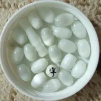 تعدادی سنگ اوپالیت چشم ببری