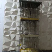 5تا قفس پرنده|لوازم جانبی حیوانات|جاجرود, |دیوار