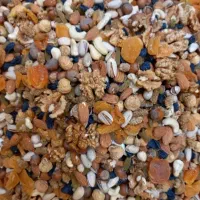 تخفیف ویژه خشکبار|خوردنی و آشامیدنی|تهران, مولوی|دیوار