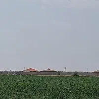 زمین-باغی-500-متری-اقساط-5-ماهه