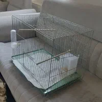 قفس
