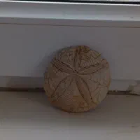 یک عدد سنگ‌ با ارزش