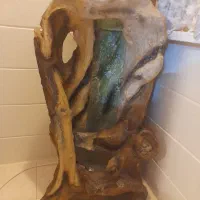 آبنما تنه درخت آبشاری سالم و زیبا