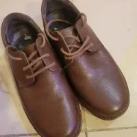 کفش شهپر مدل کلارک