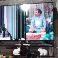 تلویزیون تمام هوشمند یورو پلاس پنل شکسته|تلویزیون و پروژکتور|داراب, |دیوار