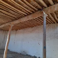 چوب|مصالح و تجهیزات ساختمان|میاندوآب, |دیوار