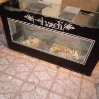 آکواریوم شیشه ضخیم اندازه طول ۱۲۰ عرض۴۰ارتفاع ۶۰