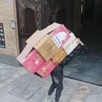 حمل اثاث منزل باربری طاها|خدمات حمل و نقل|گلستان (تهران), |دیوار