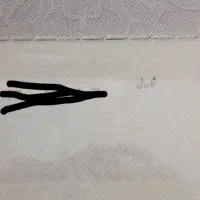 شناسنامه گم شده