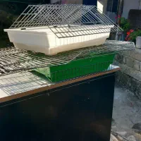 لوازم پرنده|لوازم جانبی حیوانات|تالش, تالش|دیوار