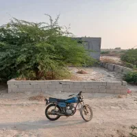 شهرک فردوس بردستان|فروش زمین و ملک کلنگی|بندر دیر, |دیوار
