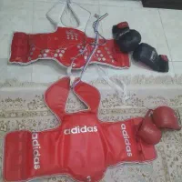 هوگو و دستکش بوکس در حد نو