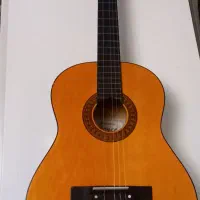 گیتار مدل force