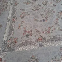روفرشی طوسی ۱۲ متری در حدنو