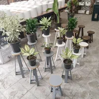 استند  و پایه برای گلدان گل طبیعی|گل و گیاه طبیعی|سبزوار, جهاد کشاورزی|دیوار