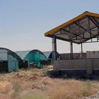 گلخانه فعال جهت فروش|فروش دفتر صنعتی، کشاورزی، تجاری|ششتمد, |دیوار