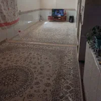 فرش در حدنو