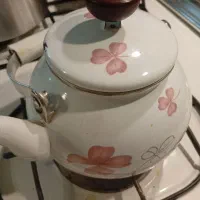 کتری لعابی معمولی سالم