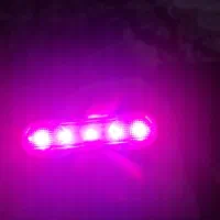 چراغ پلیسی  شارژی|دوچرخه، اسکیت، اسکوتر|تهران, آذربایجان|دیوار