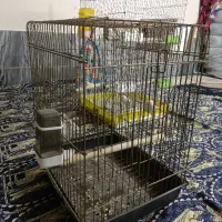 قفس با لوازم