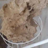 سنگ آکواریوم  سنگین