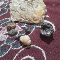 سنگ قیمتی واصل