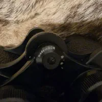 دوربین شکاری کارل زایش ینا ۸×۳۰ المان شرقی|کوهنوردی و کمپینگ|شیراز, حومه شیراز|دیوار