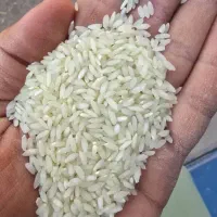 برنج عنبربو دیره شرط پخت