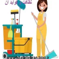 نیرو کار خانم برای اشپزی و نظافت