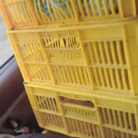 سبد مادر ، بزرگ با کیفیت عالی