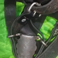 هیکلی علامت کشی گاومیش