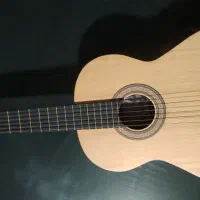 گیتار آگرین m200