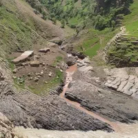 گوسفند