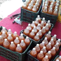 سرکه سیب 2ساله کاملا اورگانیک و طبیعی