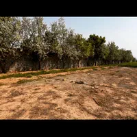 زمین قطعه ها هزارمتری عباس ابادعلاقبد۱۵دقیقه تهران|فروش دفتر صنعتی، کشاورزی، تجاری|تهران, افسریه شمالی|دیوار