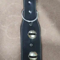 قلاده سگ|لوازم جانبی حیوانات|مشهد, باغون آباد|دیوار