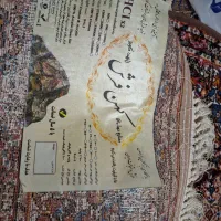 فرش 6متری زاهد کویر نو|فرش|مشهد, انصار|دیوار