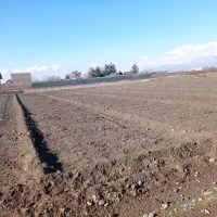 اجاره-زمین-کشاورزی