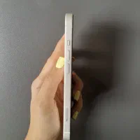 ایفون 13|موبایل|گرگان, |دیوار