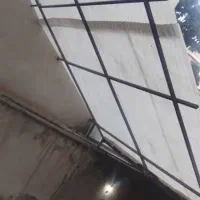 فروش ایرانت و شاخه قوطی