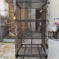 جفت کن گنجه جفتکنی جوجه کشی|لوازم جانبی حیوانات|تهران, جوادیه|دیوار